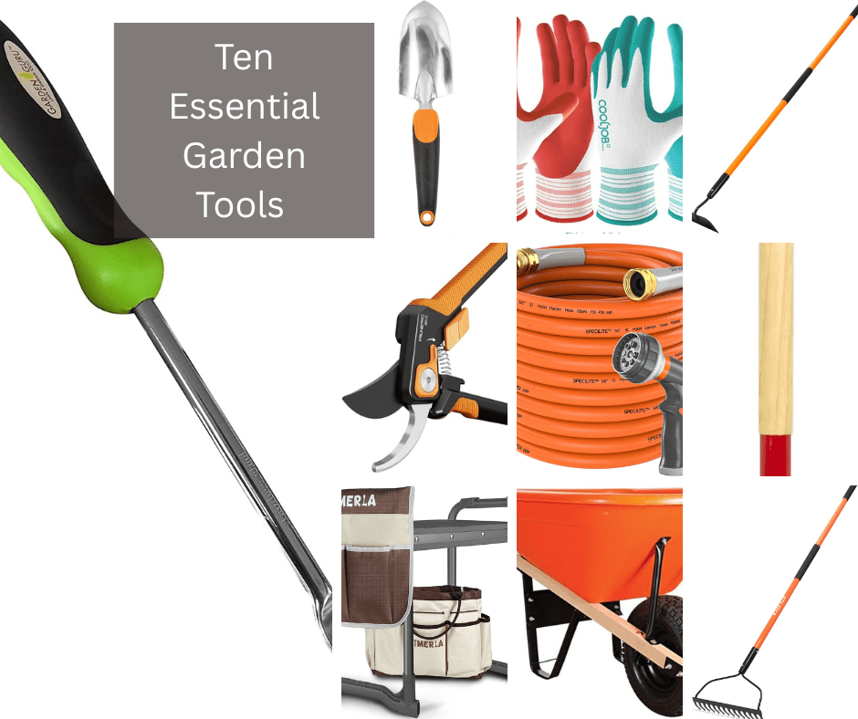 10 Essential Gardening Tools Every Gardener Should&nbsp;Own