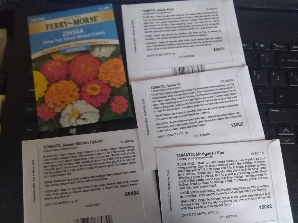 How Long Do Seeds Last? A Gardener’s Guide to Shelf Life and&nbsp;Freshness